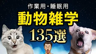 【朗読：睡眠用/作業用BGM】動物の雑学 135選〜クラシックを添えて〜