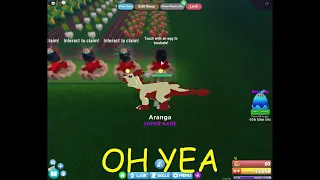 I HATCH ARANGA!!! [ROBLOX DRAGON ADVENTURE]