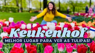 TULIPAS NA HOLANDA: Quanto custa, como chegar e as melhores dicas!