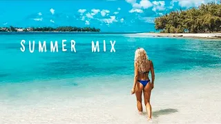 Avicii, Calvin Harris, Kygo, Alok, Robin Schulz, David Guetta, Gryffin -Summer Nostalgia Mix #186