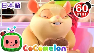 クラスのともだち　ジェリービーン ・ココメロン 日本語 - 幼児向け歌とアニメ ・CoComelon 日本語吹替版
