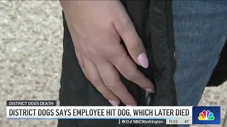 District Dogs fires employee accused of hitting, killing dog at Navy Yard location | NBC4 Washington