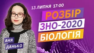 РОЗБІР ЗНО-2020 З БІОЛОГІЇ. ВСІ ПРАВИЛЬНІ ВІДПОВІДІ НА ЗНО