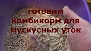 рецепт комбикорма для  мускусных уток и его себестоимость