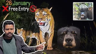 Tadoba Free Entry 🚫 | Zari Peth Gate Buffer | 26 January 🇮🇳