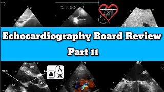 Adult Echocardiography Registry Review