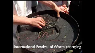 The International Festival Of Worm Charming