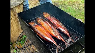 How To Fillet Every Fish | Epicurious