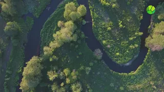 Река Сула в Налибокской пуще