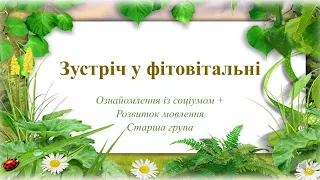 Відеозаняття з ознайомлення із соціумом + Розвиток мовлення "Зустріч  у фітовітальні" Старша група