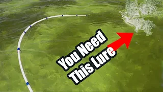 MASSIVE! This Is Why You Need This Fishing Lure (Kayak Fishing With Redodo Lithium Battery)