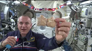 Expedition 59  In Flight Interview with David Saint Jacques May 6, 2019