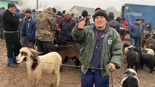 ПАЙШАНБЕ БОЗОР ЗАКАЗИ БАЧАХО НАРҲИ МОЛИ КАЛОНУ МАЙДА ФАРБЕЮ ХАРОБ ХАММАШ ГУСФПНДУ ТАКА БУЗ 8-12-22