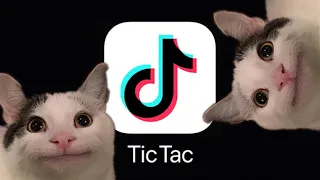 Если бы Белуга был владельцем TikTok...