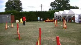 Concours Hobby Dog 2013
