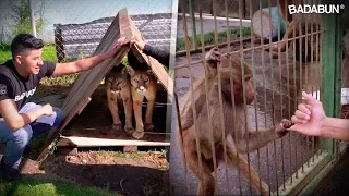 Esto es RECICA. La última esperanza de muchos animalitos