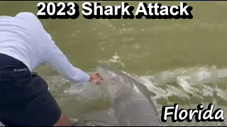 Shark Grabs Angler's Hand Florida Shark Attack Caught on Camera