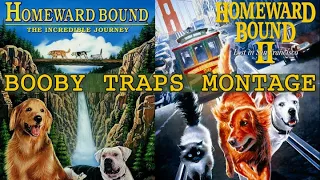 Disney's Homeward Bound Movies Booby Traps Montage (Music Video)