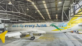 #LetsFlyEveryJuan in our special Cebu Pacific aircraft!
