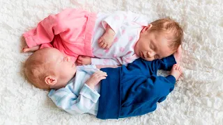 ‘Horrified’: Book for toddlers explains why new baby sibling is a ‘they’