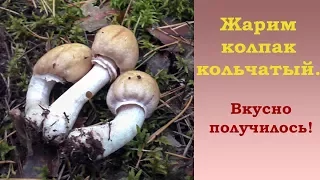 Жарим колпак кольчатый. Вкусно получилось!