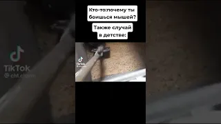 Мемы по ТикТоку #347