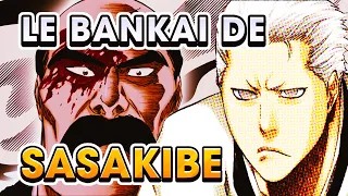 L'HISTOIRE DU BANKAI DE SASAKIBE ! L'HOMME QUI A RÉUSSI A BLESSER YAMAMOTO GENRYUSAÏ ! ( BLEACH )