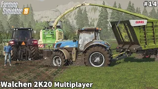 Real Hard Condition of Silage Harvesting & Ploughing│Walchen 2K20 With Season│FS 19│Timelapse#14