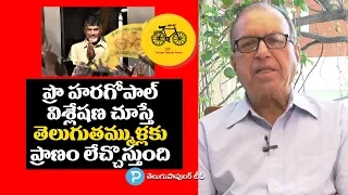 What is the Future of TDP and Chandrababu Naidu? Prof Haragopal Explained | In Depth