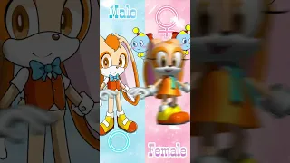 Sonic Gender Swap edit ❤️ | Sonic Cambio De Género ❤️ #shorts