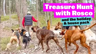 Treasure Hunt with Rosco and the Holiday/House Pack