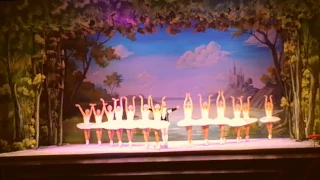 Swan Lake (Last Scene) - St. Petersburg Ice Ballet (Belgrade 14.12.2016.)