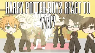 harry potter boys react to fem y/n