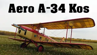 Aero A-34 Kos | scale RC biplane | 4K | 2023