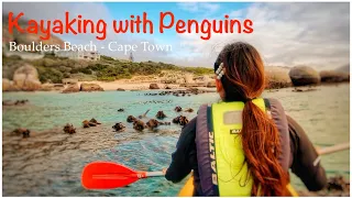 Kayaking with Penguins | Boulders Beach - Cape Town | 4k