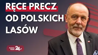 Wyrok TSUE ws. polskich lasów