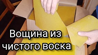 Хрупкая или нет, вощина из чистого воска.