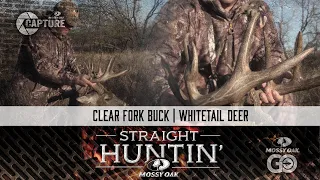Clear Fork Buck • Whitetail Deer • Straight Huntin'
