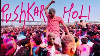 Craziest pushkar holi celebration ॥ Pushkar holi festival 2024 ॥