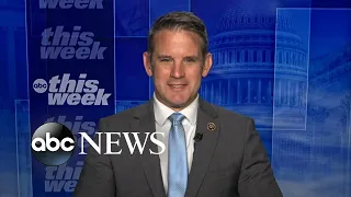 Election denial won’t 'go away organically,' American people must stand up: Kinzinger