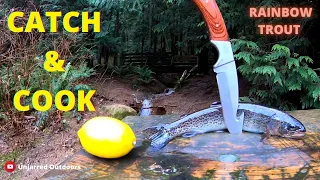 Catch and Cook | Alpine Lake Fishing for Rainbow + Cutthroat Trout