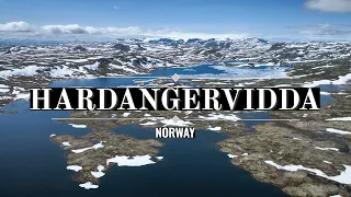 Hardangervidda - Norway Road Trip Highlights