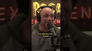 Joe Rogan & Tim Dillion discuss Miami & cocaine cowboys