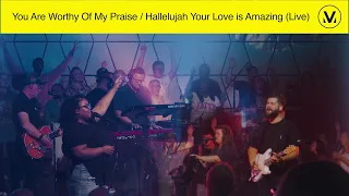 You Are Worthy Of My Praise / Hallelujah Your Love Is Amazing - Vineyard Worship [Official Audio]