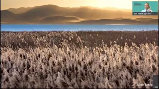 Is Utah Lake a gleaming success or a steaming failure?