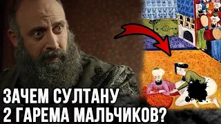 Что из себя представляли гаремы мальчиков? Почему их было 2 ?