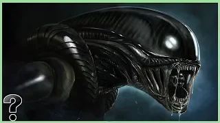 What If Xenomorphs Were Real?