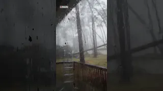 Massive tree hits house due to Hurricane Idalia