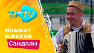 Ильфат Шаехов - Сандали / лучшие татарские песни / тмтв