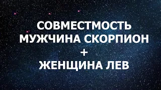 Совместимость мужчины Скорпиона и женщины Льва